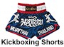 Kickbox shorts